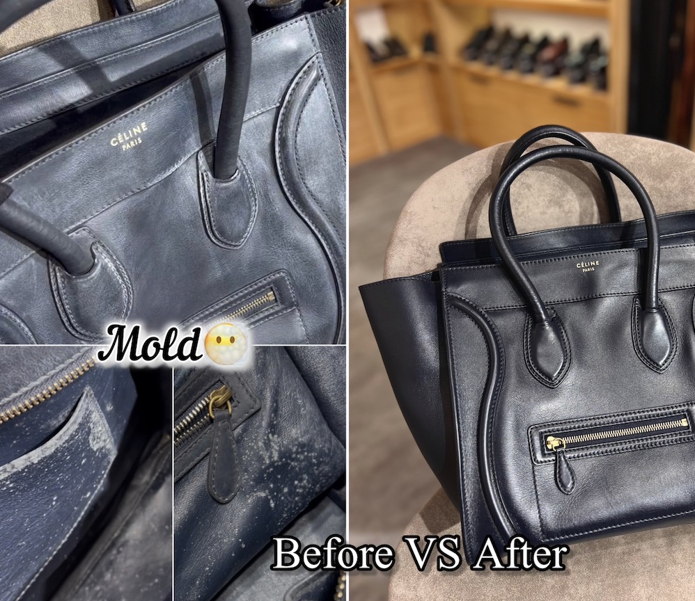 Celine bag mold